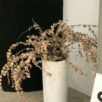 兽设森系风格设计Furry群